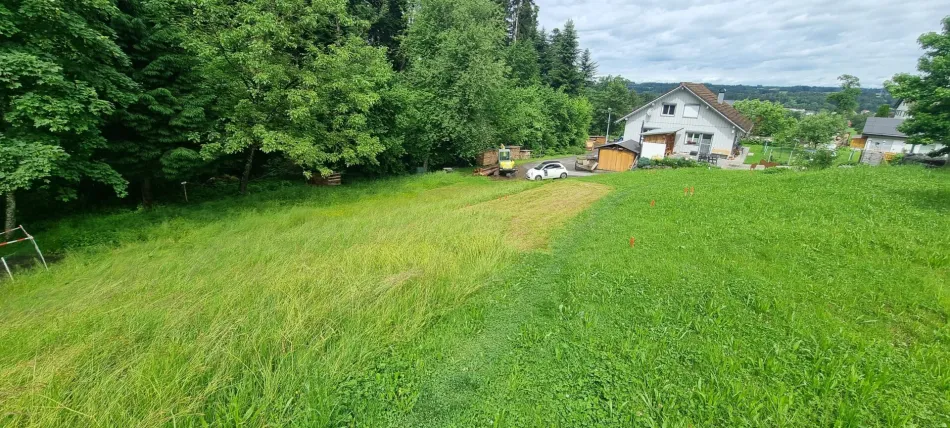 Idyllisches Grundstück in Hohenweiler! Der ideale Platz für dein Traumhaus! - Bild