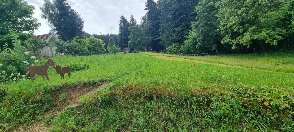 Idyllisches Grundstück in Hohenweiler! Der ideale Platz für dein Traumhaus! - Bild