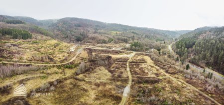 Sensationelle Investition! Grundstück in Thermenregion mit Projektstudie für Wohn/Ferienprojekt mit Badesee
