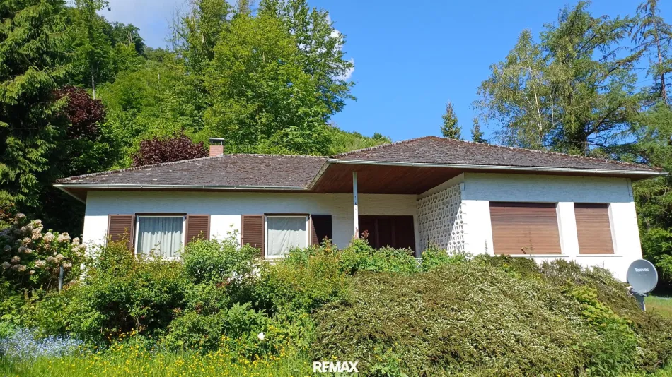 Bungalow mit Donaublick - Titelbild
