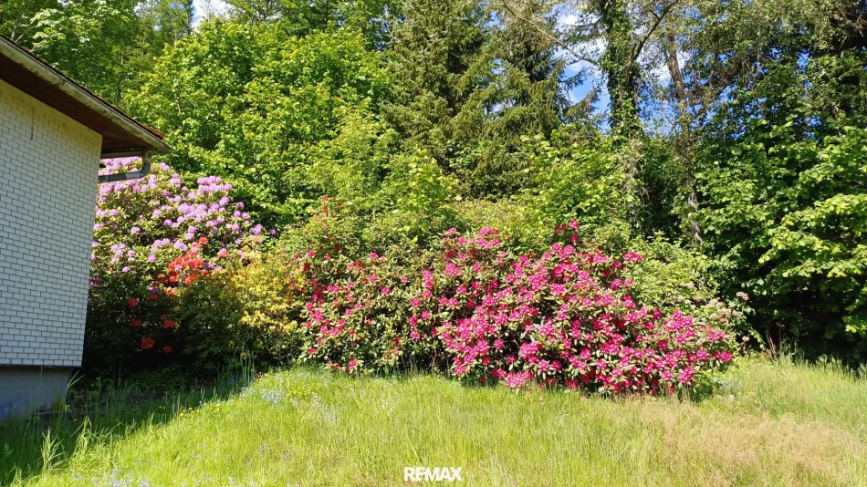 Bungalow mit Donaublick - Bild