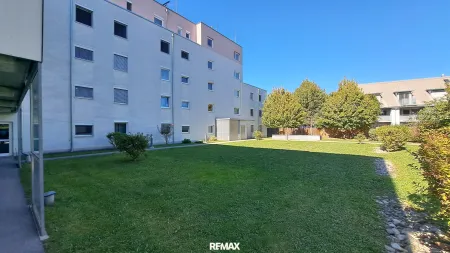 Hof