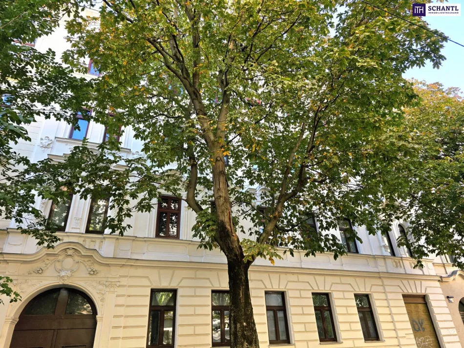 Kleine Wohnung - Großer Auftritt! Charmantes Raumwunder + Ruhige Straße + Rundum saniertes Altbauhaus + Ideale Infrastruktur! Jetzt zugreifen! - Bild