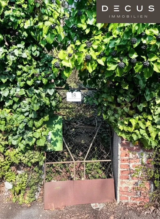Traumgrundstück am Wolfersberg | Südhang - Titelbild