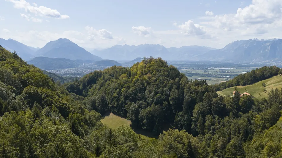 Attraktives Mehrfamilienhaus als Kapitalanlage mit Eigennutzungspotenzial in Fraxern - Bild