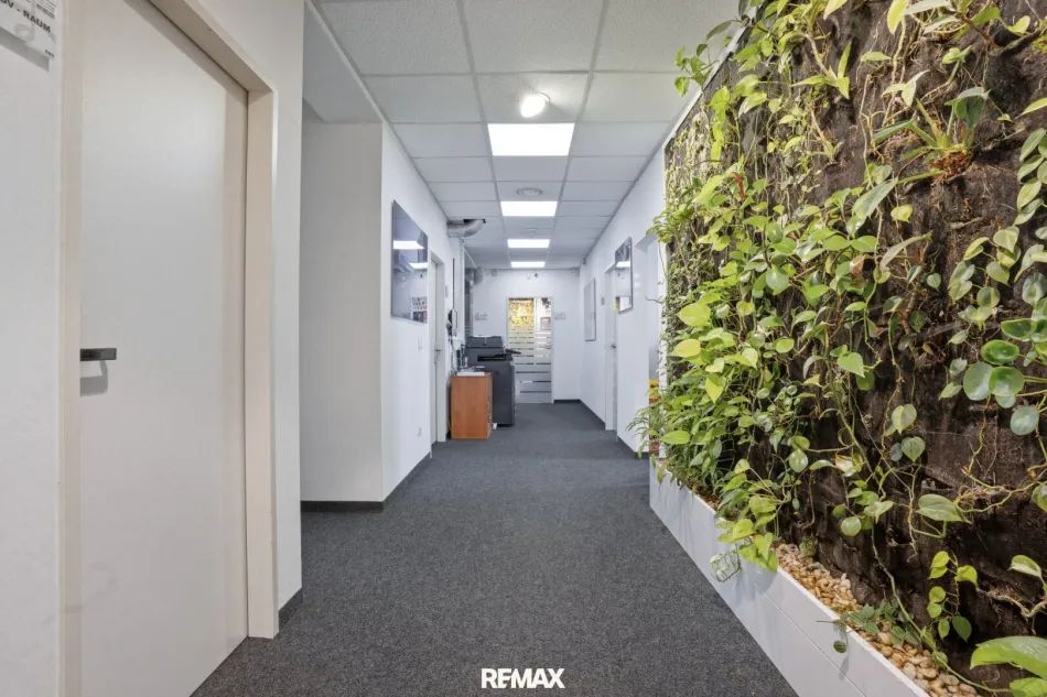 Empfang