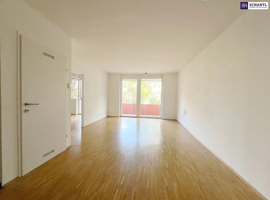 Kuschelig, zentral, sofort frei – Wohnung mit Ostbalkon in Graz - Bild