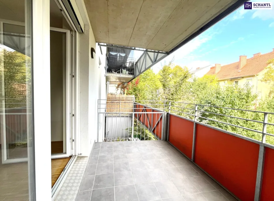 Kuschelig, zentral, sofort frei – Wohnung mit Ostbalkon in Graz - Bild