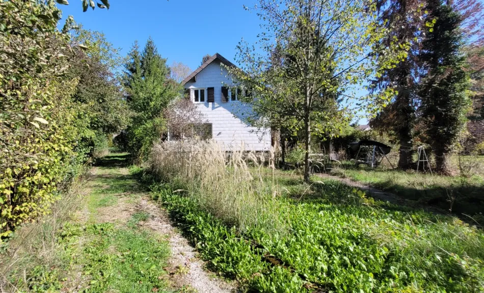 Älteres Einfamilienhaus in Grünruhelage + zusätzliches Grundstück in Petzenkirchen - Titelbild