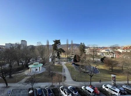 Parkblick
