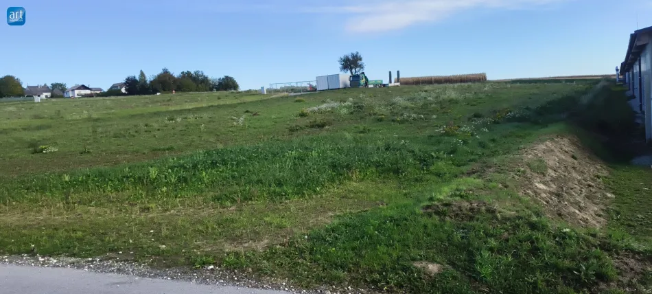 Attraktiver Betriebsbaugrund 2208m² in Buchkirchen bei Wels - Bild