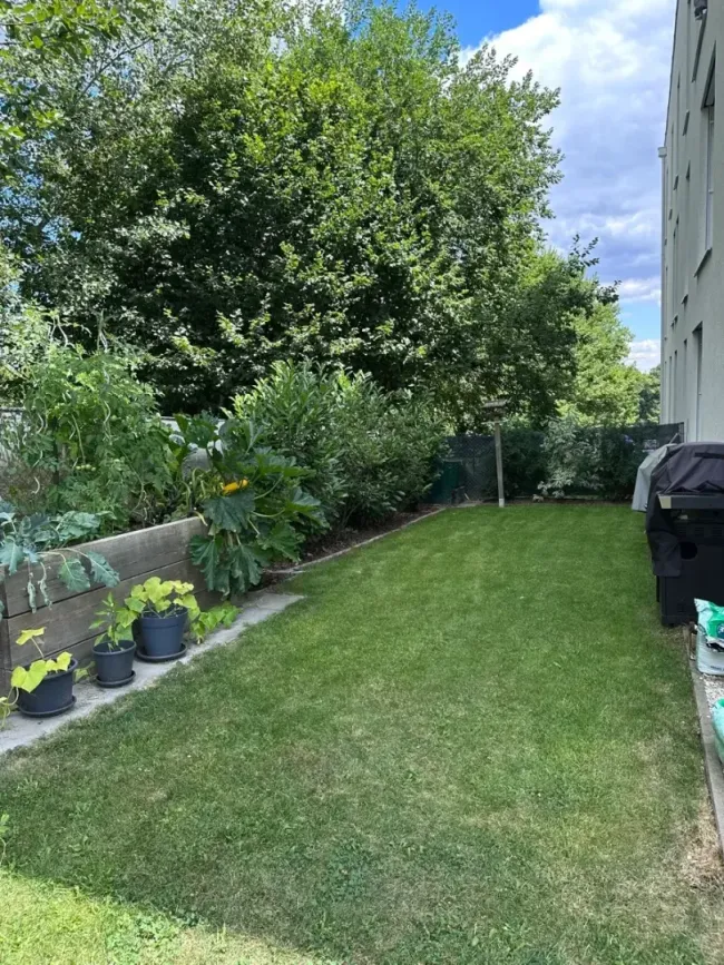 Wohnen nahe Schloss Parz – 3 Zimmer mit Garten und Terrasse - Bild