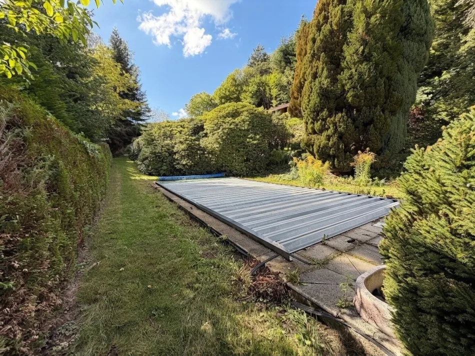 Außergewöhnliche Liegenschaft im Waldviertel – Alleinlage, Pool, Obstgarten, Wald und viel Potenzial - Bild