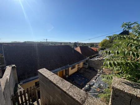 Garten (Hintere Zugang)