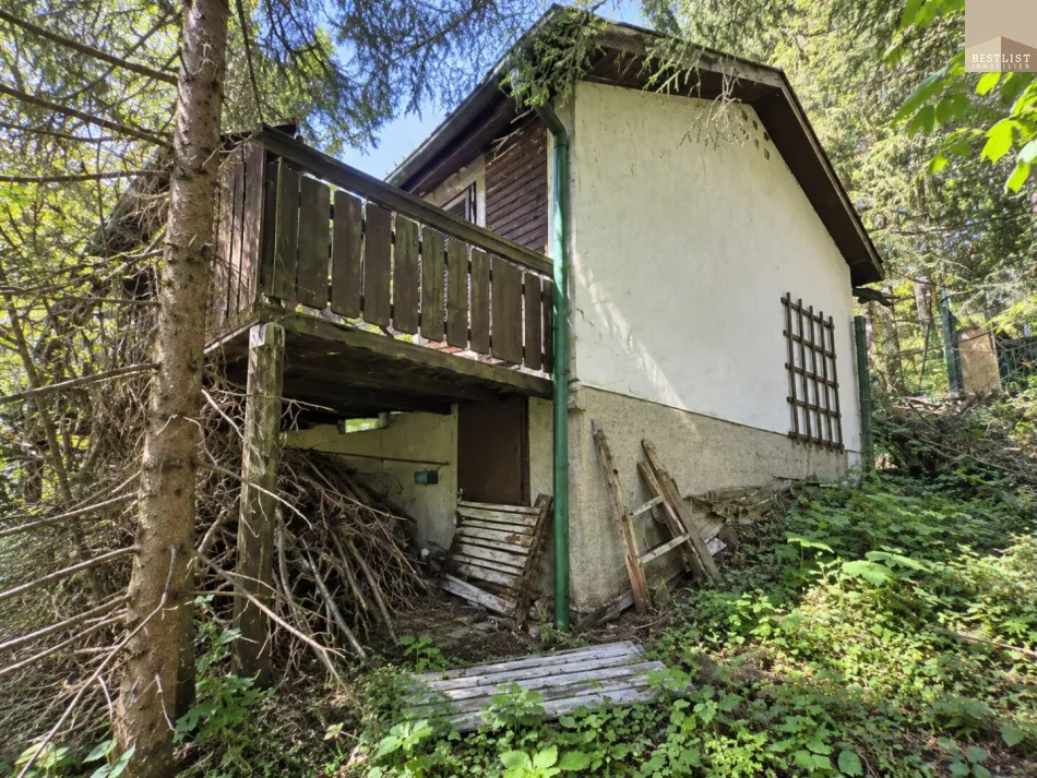 Skifahren - Sommerfrische - Wandern - Mountainbiken: Ferienhaus mit Potenzial! - Bild