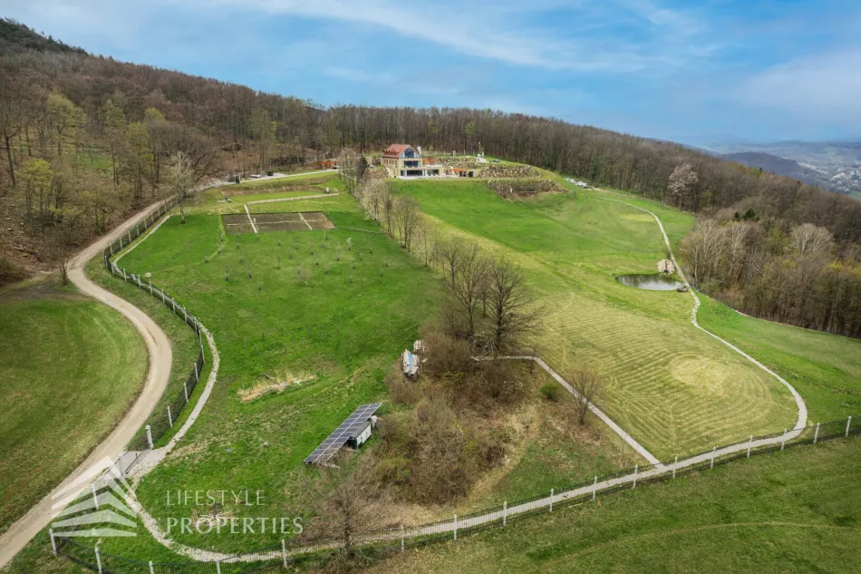 Chalet im Naturschutzgebiet mit traumhafter Ruhelage - Bild