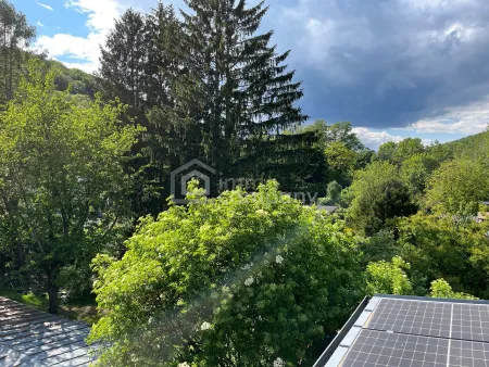 Ausblick