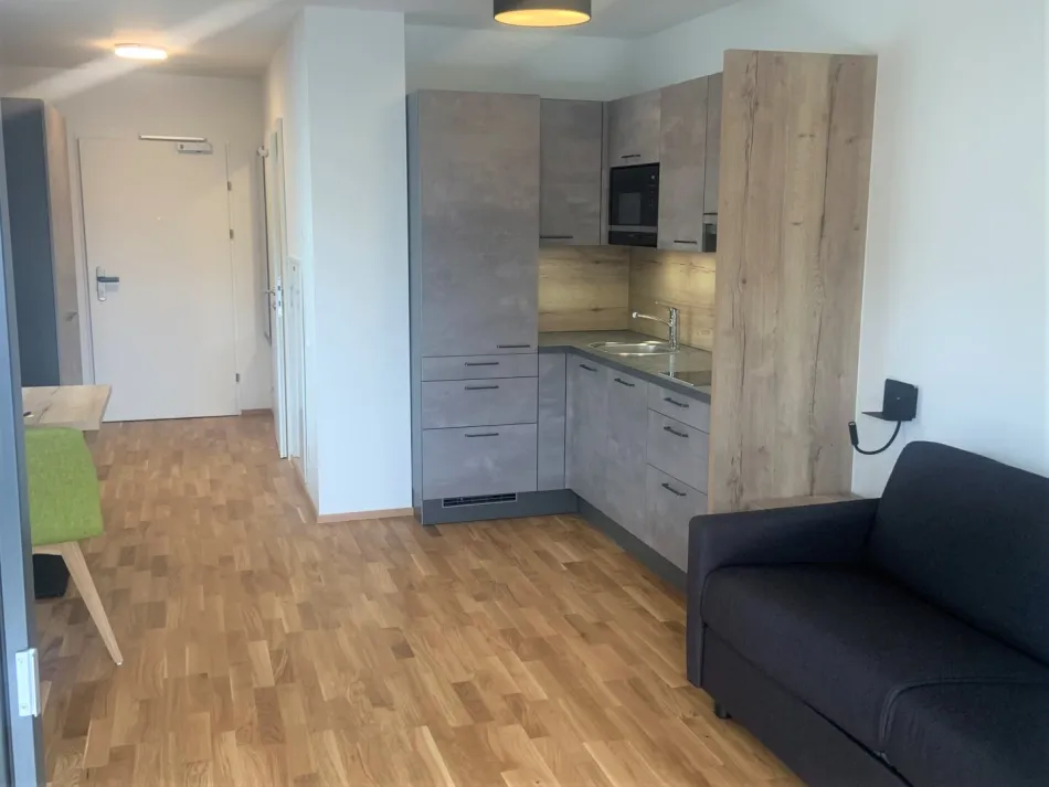Moderne Gartenwohnung mit Terrasse in Leogang – ca. 29 m² Wohnfläche | Ideal als Personalwohnung - Bild