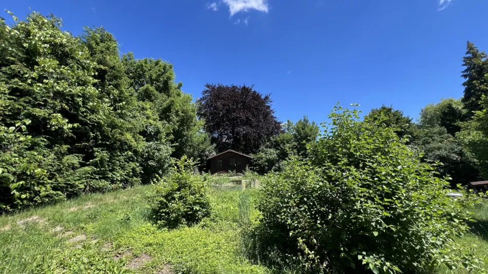 Exklusives Baugrundstück im Herzen des Wienerwaldes – Ihr zukünftiges Zuhause in Eichgraben - Bild