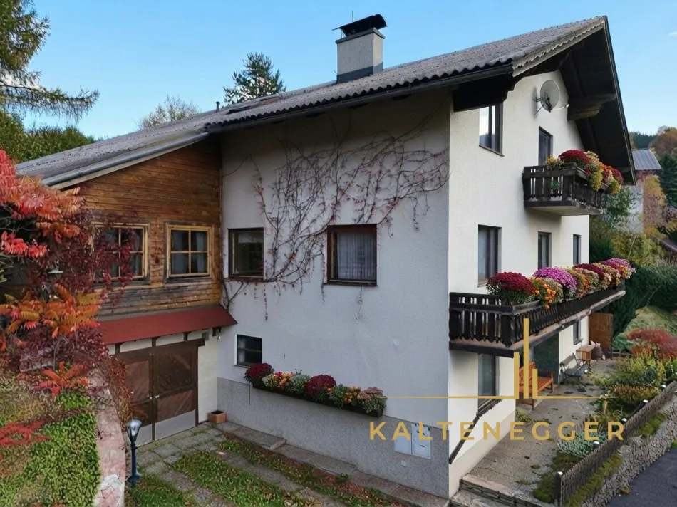 Großzügiges Zwei-Familienwohnhaus in idyllischer Grünruhe-Lage - Bild