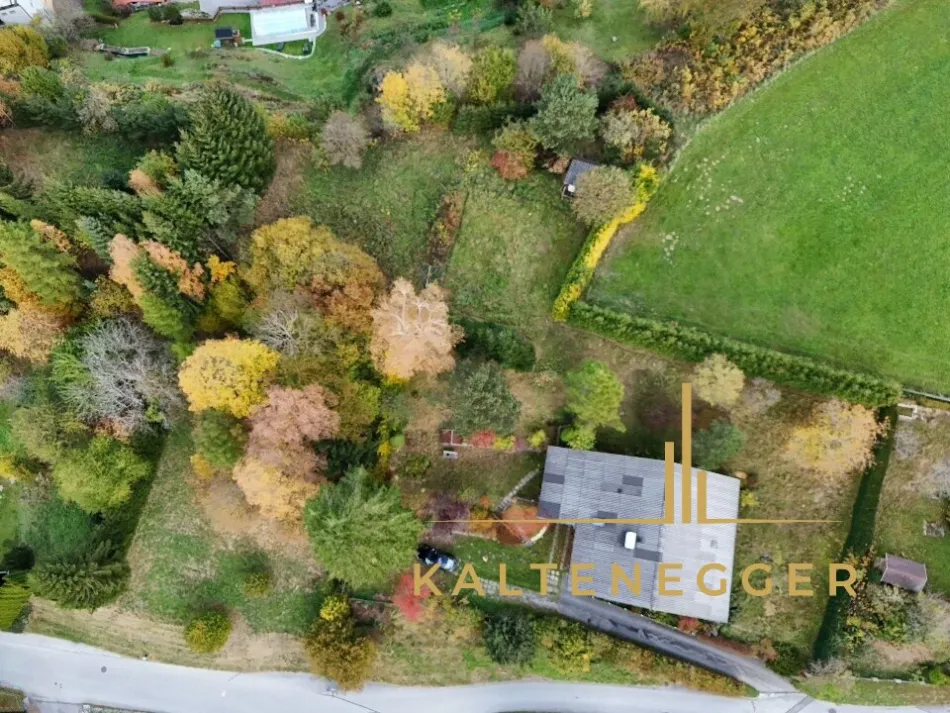 Großzügiges Zwei-Familienwohnhaus in idyllischer Grünruhe-Lage - Bild