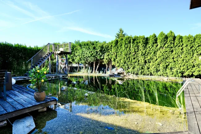 Großzügiger Schwimmteich mit Sprungturm