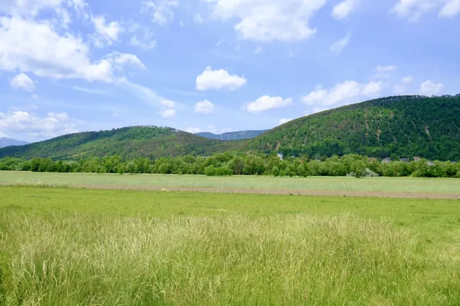 Hohe Wand - Traumhafte Natur