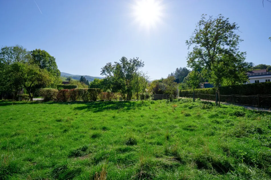 Großzügig bauen, naturnah leben – 1.238 m² ebener Baugrund im Dorfzentrum von Laaben - Bild