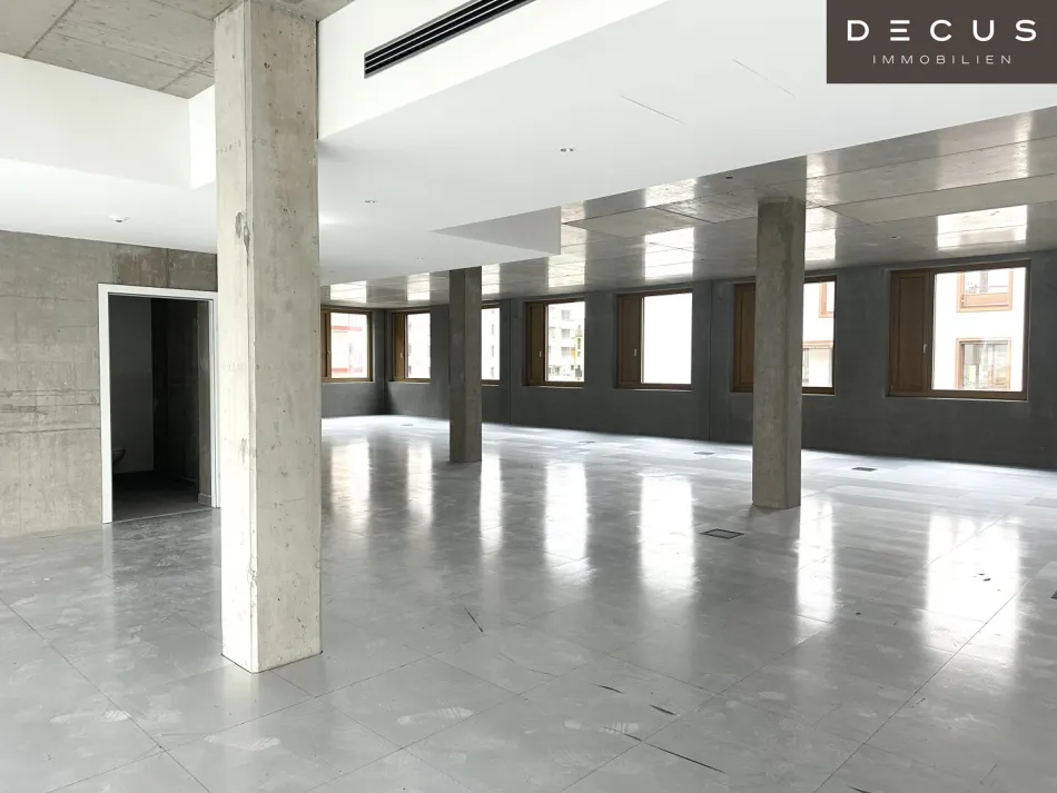 | INDUSTRIE STYLE | FABRIK 1230 | Büro-/Ordinations-/Geschäftsflächen - Titelbild