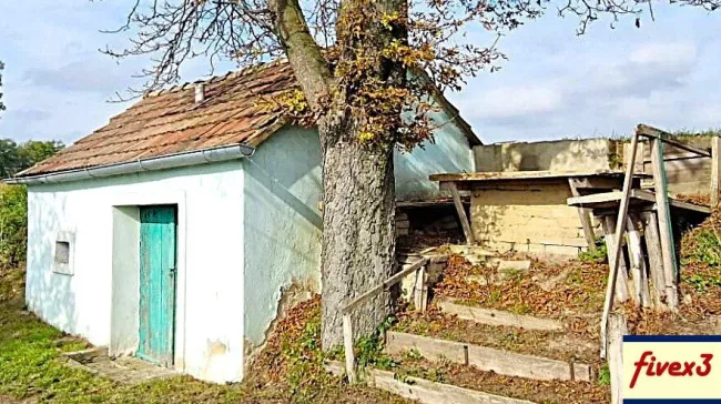 GEMÜTLICH - Weinkeller mit kleinem Presshaus nur 20 min von der Wiener Stadtgrenze zu kaufen - Bild