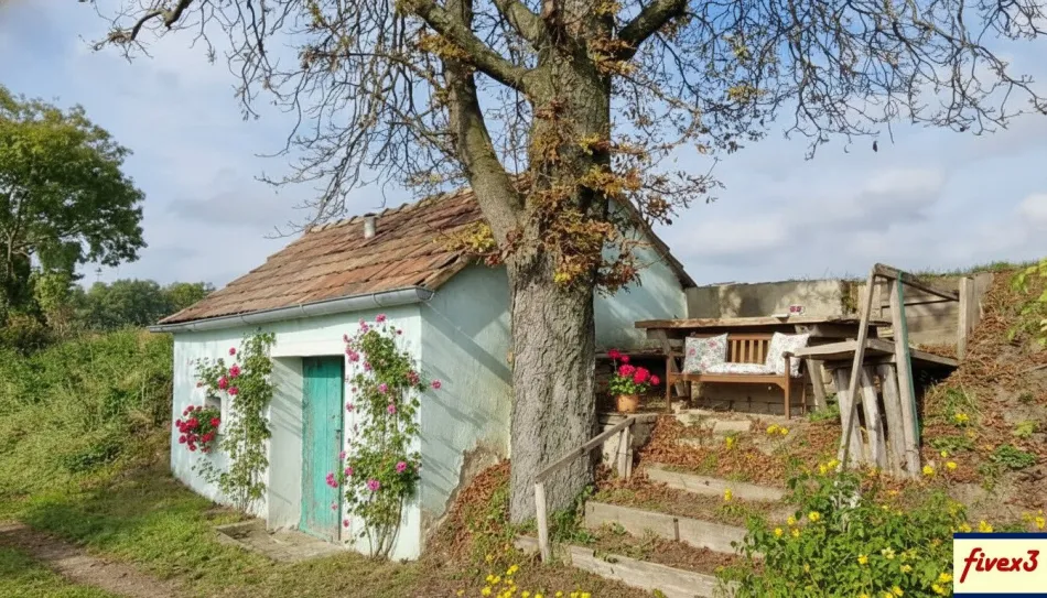 GEMÜTLICH - Weinkeller mit kleinem Presshaus nur 20 min von der Wiener Stadtgrenze zu kaufen - Bild