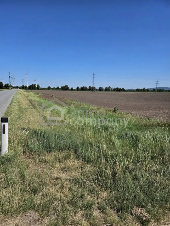 Ackerland in Bestlage – 4,97 Hektar wertvoller Ackerboden mit optimaler Grundstücksform in Margarethen am Moos - Bild