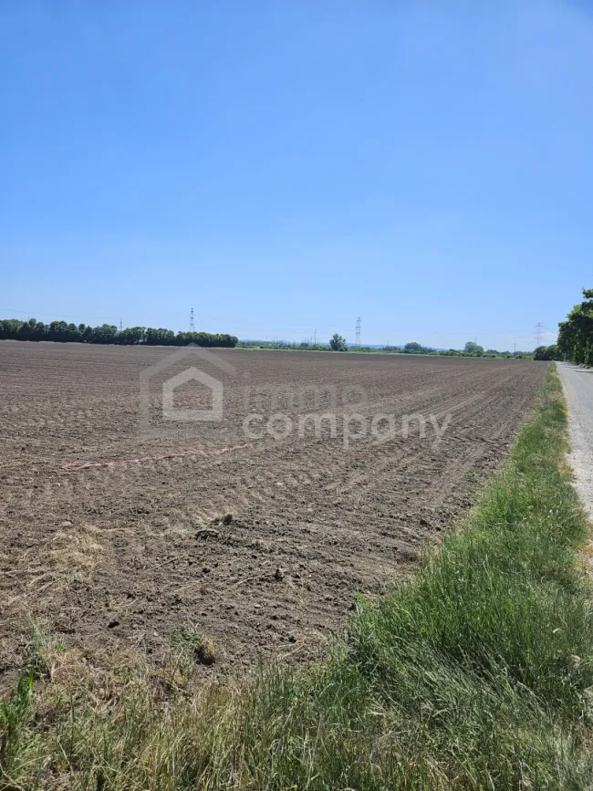 Landwirtschaftliche Fläche in strategisch interessanter Lage der Airport Region – 5,18 ha - Titelbild