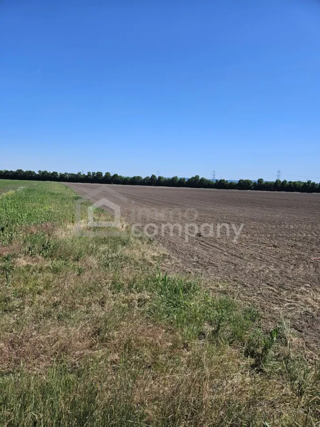 Landwirtschaftliche Fläche in strategisch interessanter Lage der Airport Region – 5,18 ha - Bild