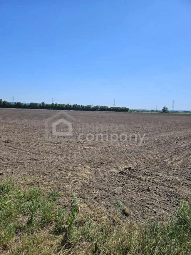 Landwirtschaftliche Fläche in strategisch interessanter Lage der Airport Region – 5,18 ha - Bild