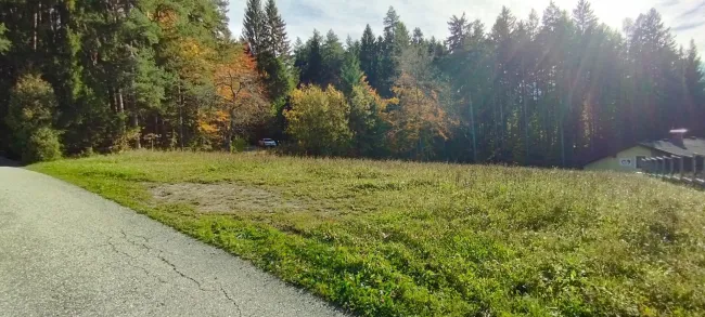 Grundstück für Privatpersonen oder Bauträger - Bild