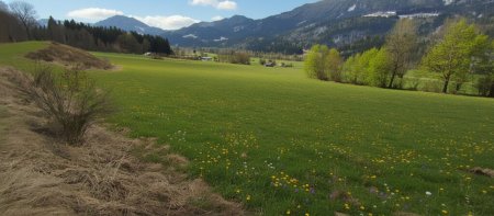 Neuer Preis......sonniger Baugrund mit Ausblick
