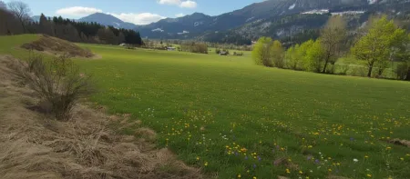 Neuer Preis......sonniger Baugrund mit Ausblick