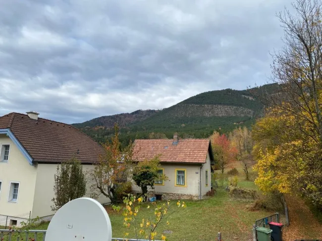 Naturnahes Wohnen im renovierungsbedürftigen Einfamilienhaus in Grünbach am Schneeberg - Bild