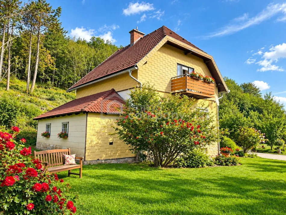 Attraktive Gelegenheit für Sanierungsprofis! Werden Sie stolzer Besitzer eines Landhauses im Triestingtal plus großem Grundstück € 265.000,– FIX - Bild