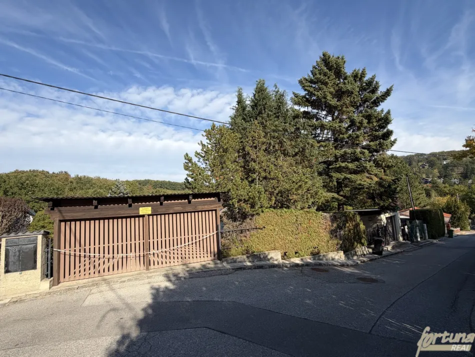 Einfamilienhaus mit unverbaubarem Waldblick auf großzügigem Hanggrundstück in Breitenfurt - Bild
