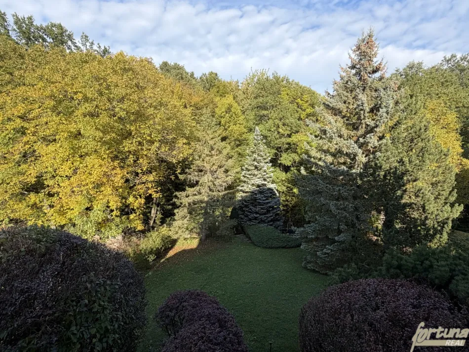 Einfamilienhaus mit unverbaubarem Waldblick auf großzügigem Hanggrundstück in Breitenfurt - Bild