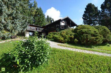 CHRISTOPH CHROMECEK IMMOBILIEN - SULZ IM WIENERWALD - Traumhafter Baugrund mit Blockhaus in Grün-Ruhelage!