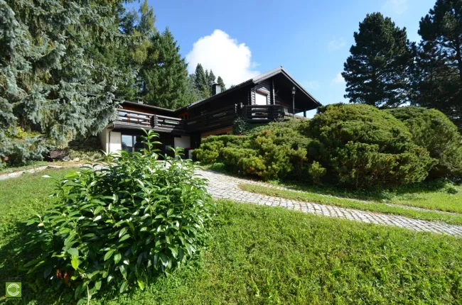 CHRISTOPH CHROMECEK IMMOBILIEN - SULZ IM WIENERWALD - Traumhafter Baugrund mit Blockhaus in Grün-Ruhelage! - Bild