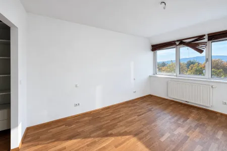 Zimmer 2