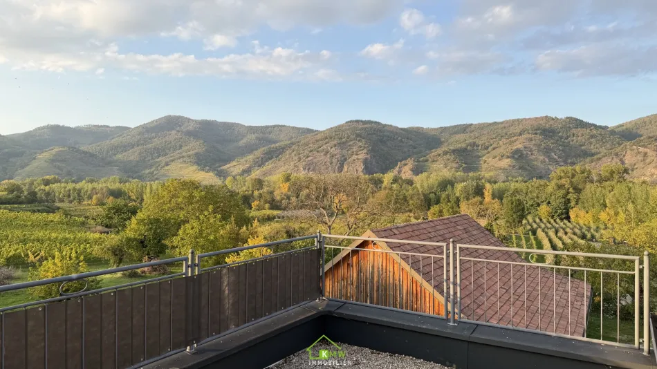 Vielseitige Liegenschaft in der Wachau – Weinkeller mit großem Potenzial - Bild