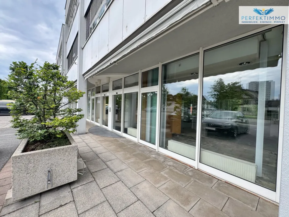 282 m² Geschäftsfläche zur Miete - Bild