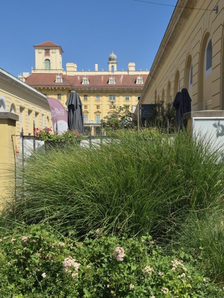 Büro- oder Praxisfläche mit 62,80 m² in zentraler Lage von Eisenstadt