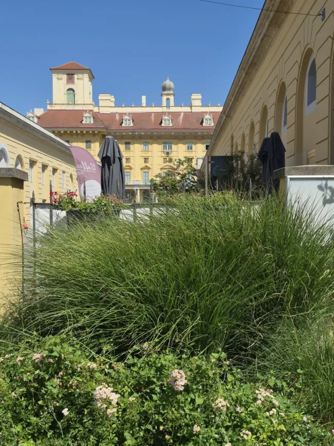 Büro- oder Praxisfläche mit 62,80 m² in zentraler Lage von Eisenstadt - Bild