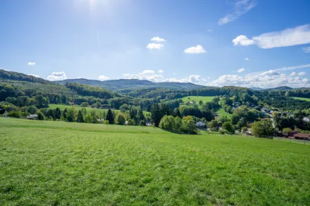 Grünland
